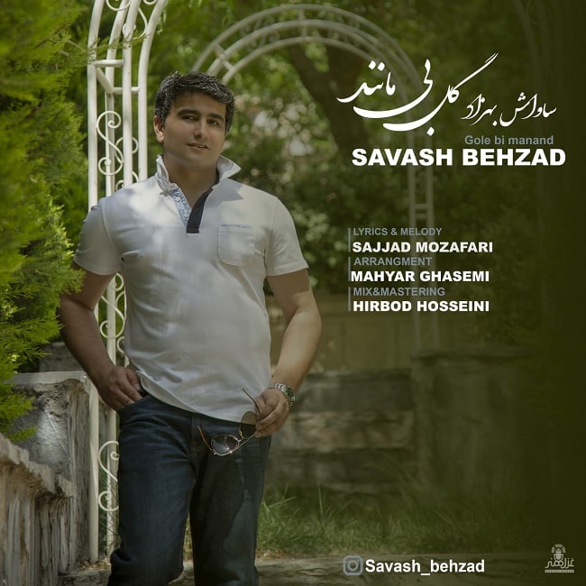 دانلود آهنگ گل بی مانند